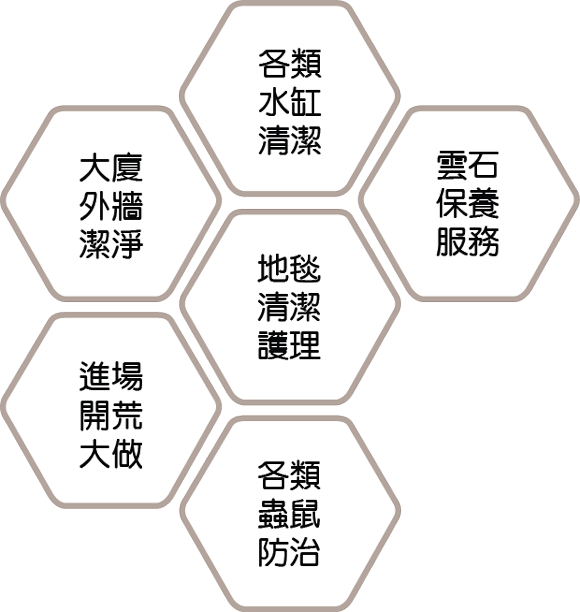 大廈外牆潔淨, 各類水缸清潔, 雲石保養服務, 地毯清潔護理, 家居掃除清潔, 各類蟲鼠防治